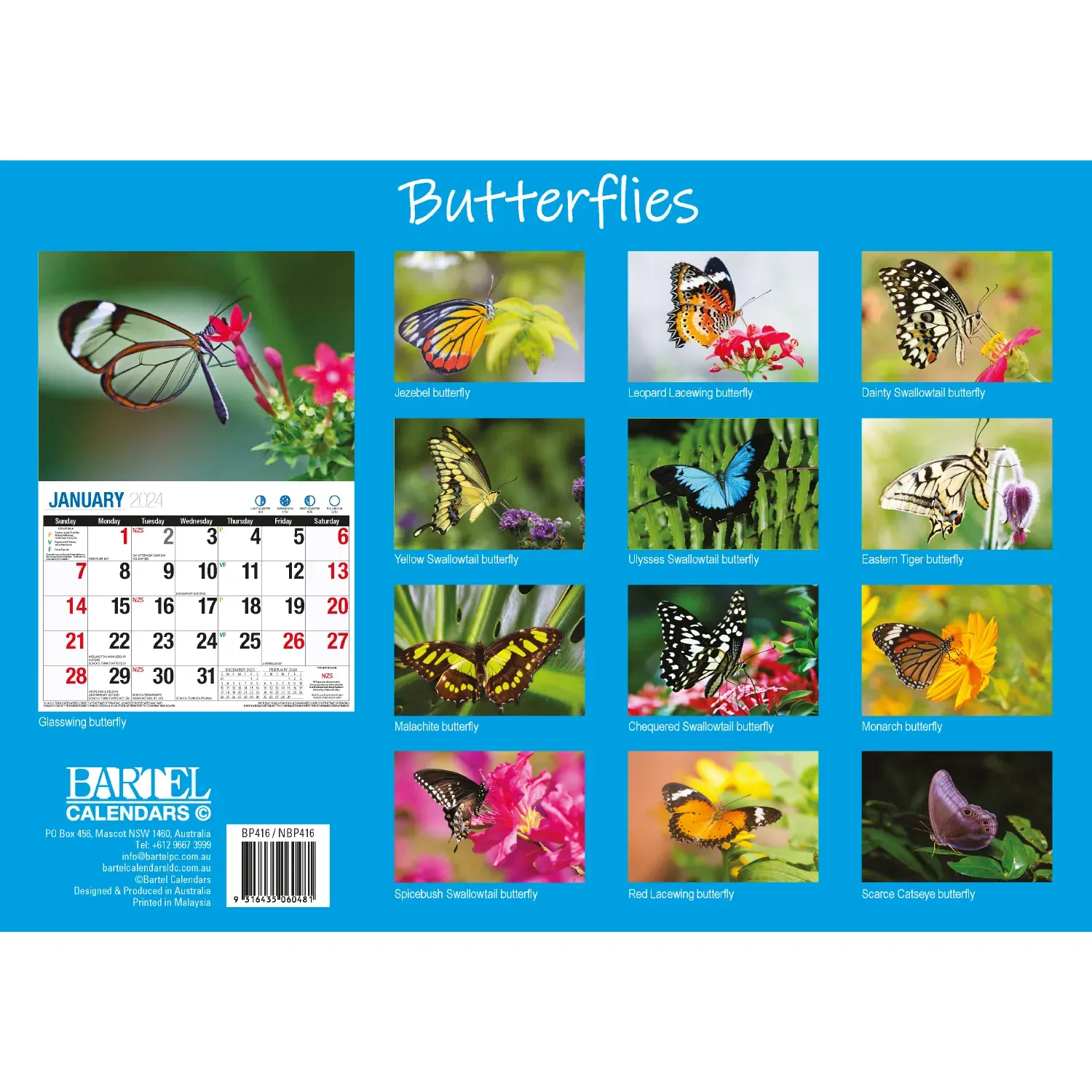Butterflies - 2024 Rectangle Wall Calendar 16 Months Colorful Butterfly Photos Price