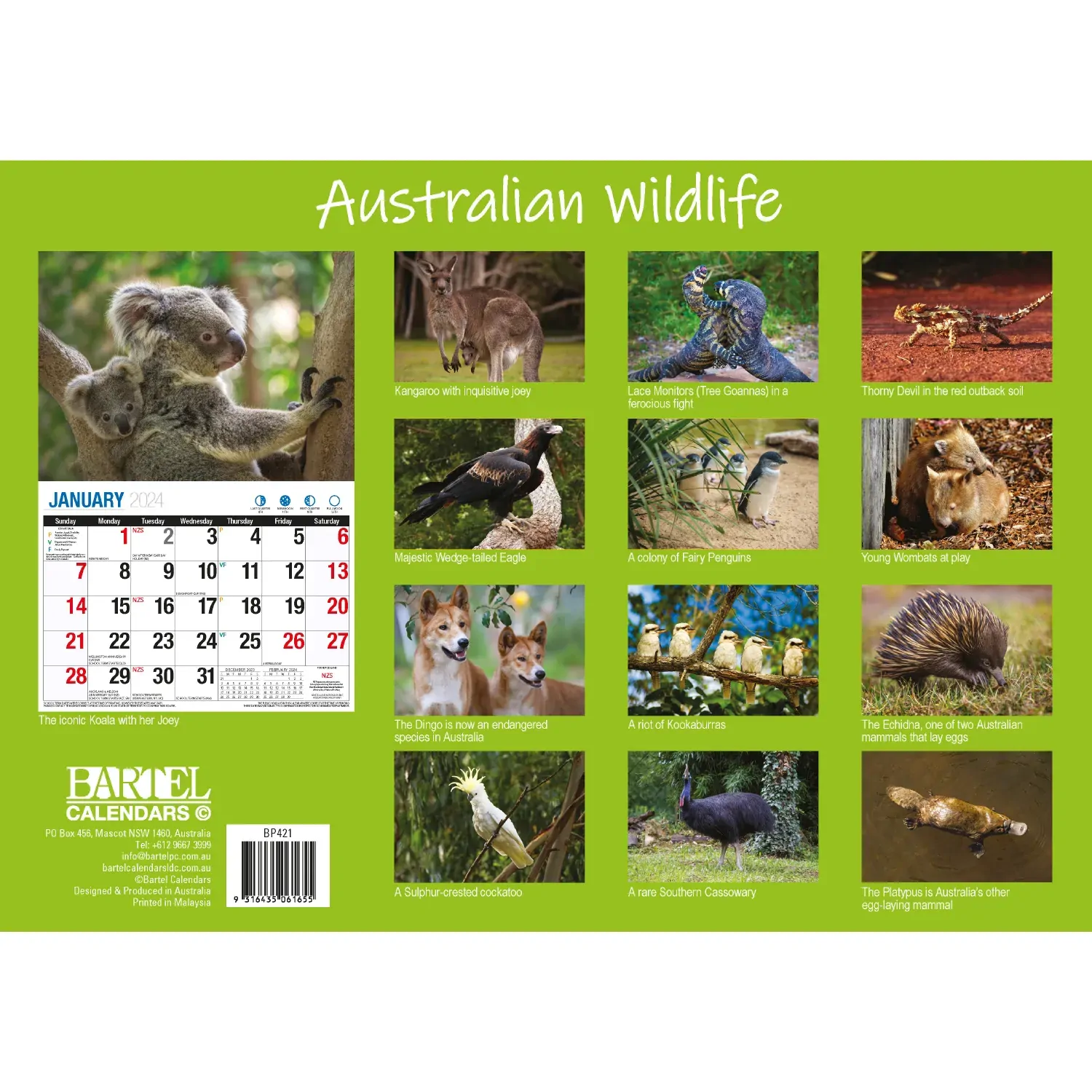 Australian Wildlife - 2024 Rectangle Wall Calendar 16 Months Animal Photography Price