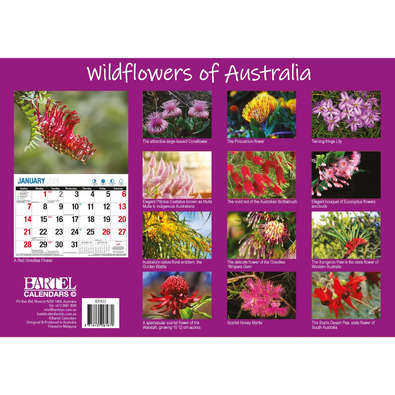 Wildflowers of Australia - 2024 Rectangle Wall Calendar 16 Months Floral Images Price