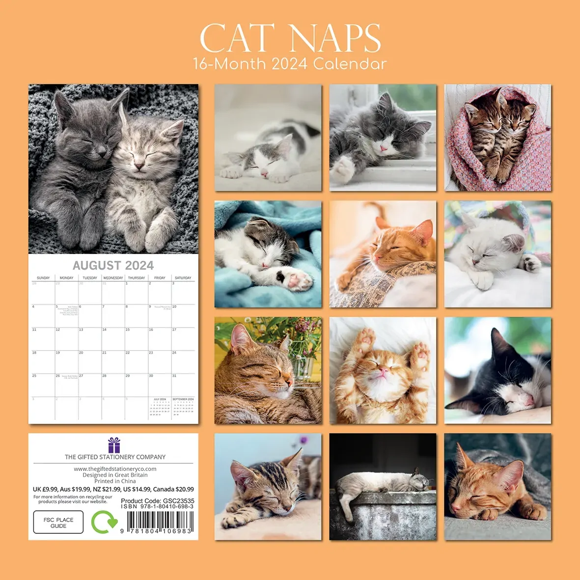 Cat Naps - 2024 Square Wall Calendar Pets Animals 16 Months Premium Planner Gift Price