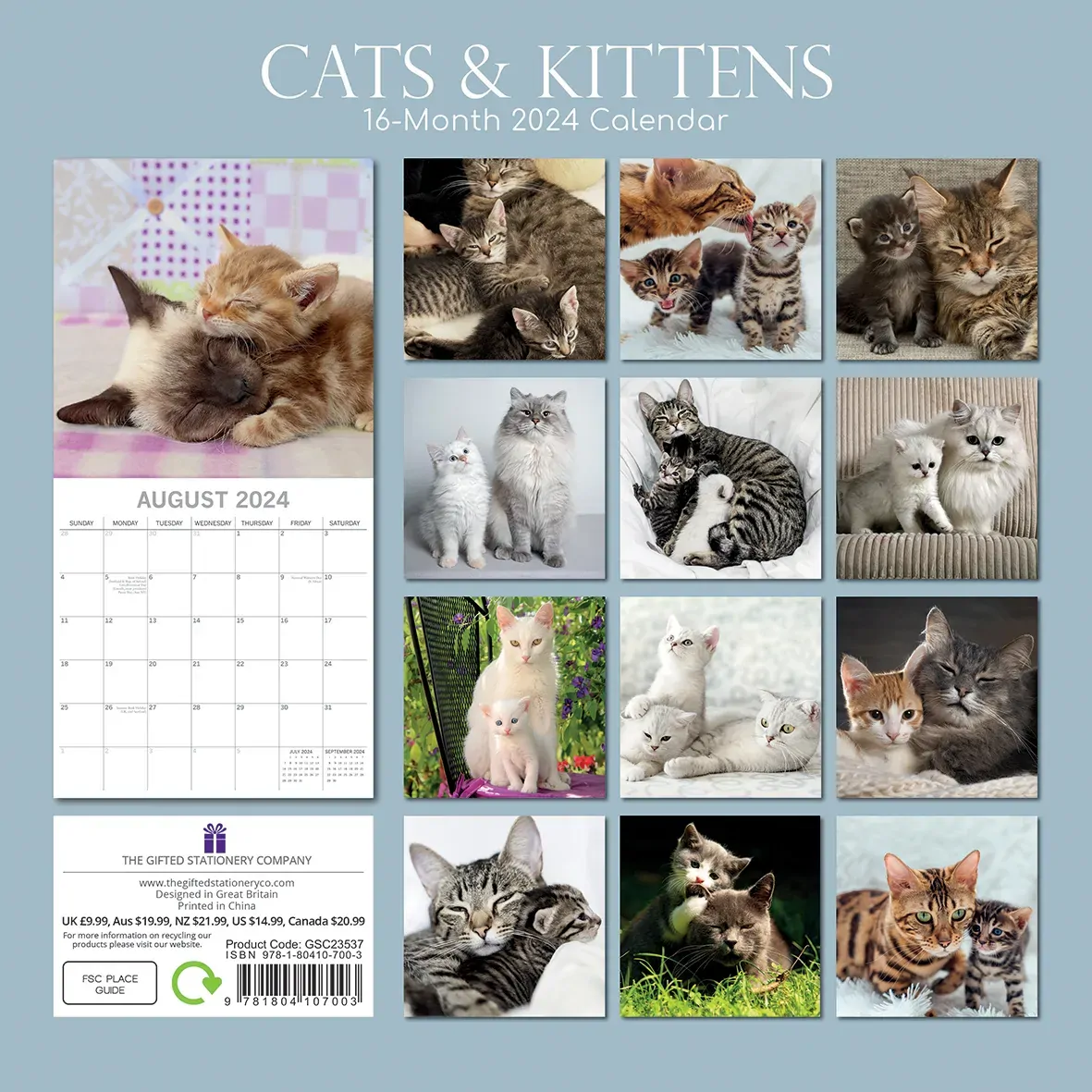 Cats & Kittens 2024 Square Wall Calendar Pets Animals 16 Months Premium Planner Price