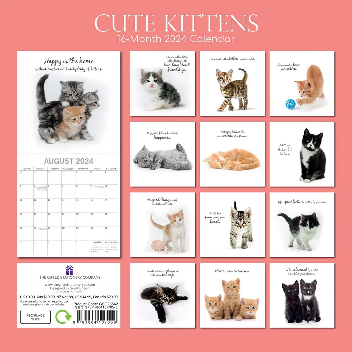 Cute Kittens - 2024 Square Wall Calendar Pets Animals 16 Months Premium Planner Price
