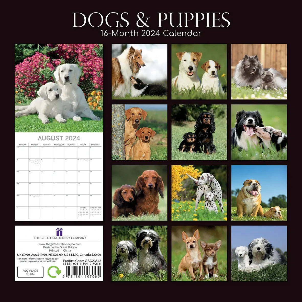 Dogs & Puppies - 2024 Square Wall Calendar Pets Animals 16 Month Premium Planner Price