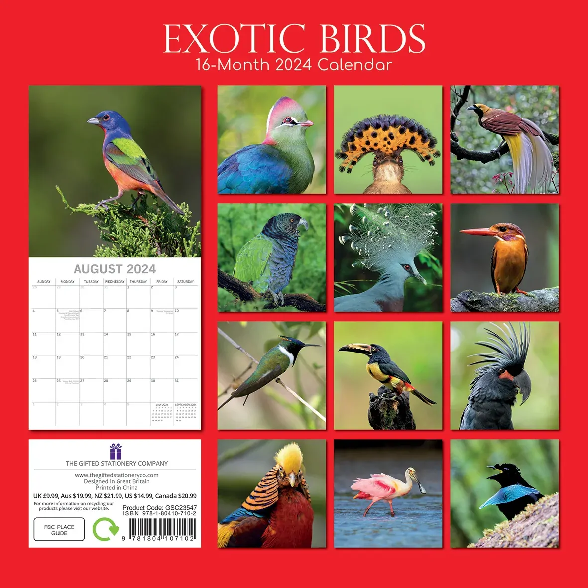 Exotic Birds - 2024 Square Wall Calendar Pets Animals 16 Months Premium Planner Price
