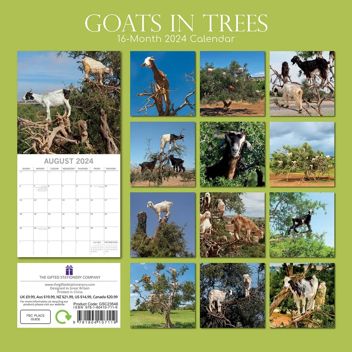 Goats in Trees - 2024 Square Wall Calendar Pets Animals 16 Month New YearPlanner Price