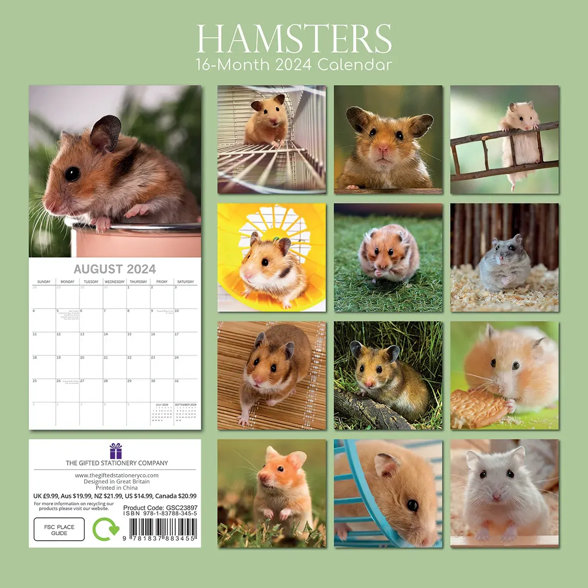 Hamsters - 2024 Square Wall Calendar Cute Pets Animals 16 Months Premium Planner Price
