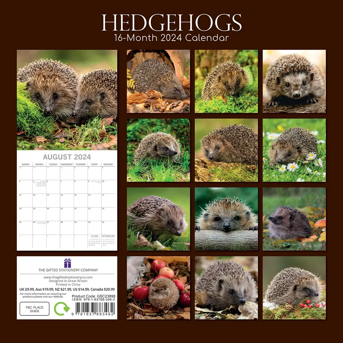 Hedgehogs - 2024 Square Wall Calendar Cute Pets Animals 16 Month Premium Planner Price