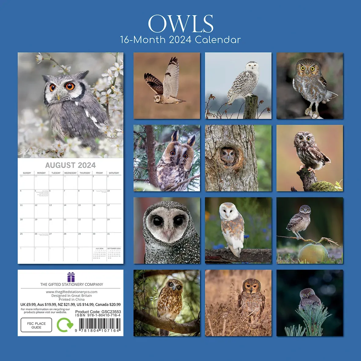 Owls 2024 Square Wall Calendar Pets Animals 16 Months New Year Christmas Planner Price
