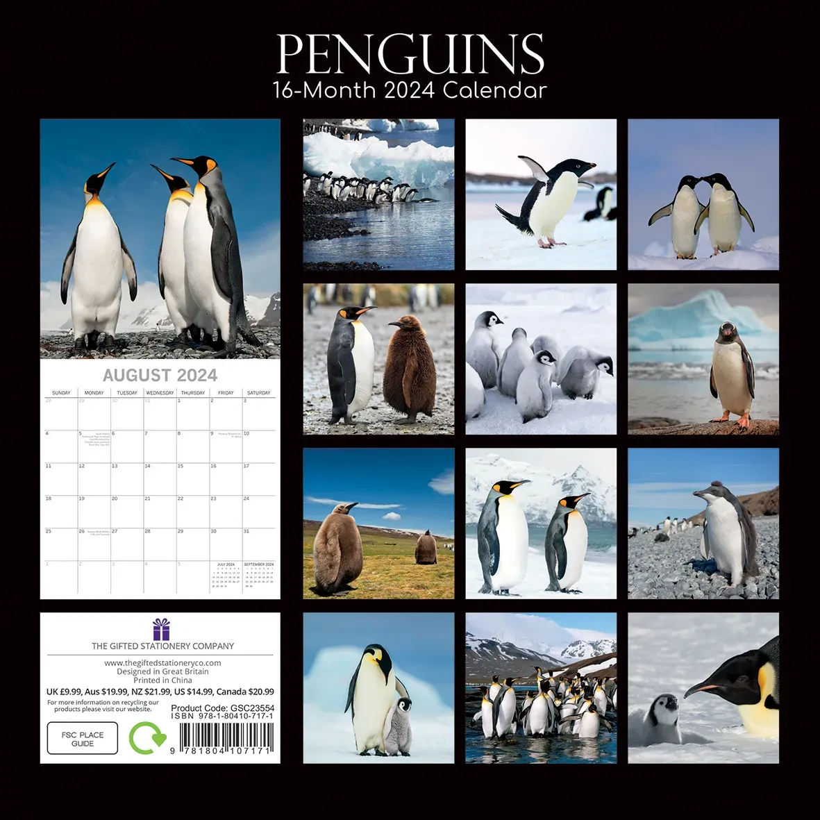 Penguins - 2024 Square Wall Calendar Pets Animals 16 Month New Year Gift Planner Price
