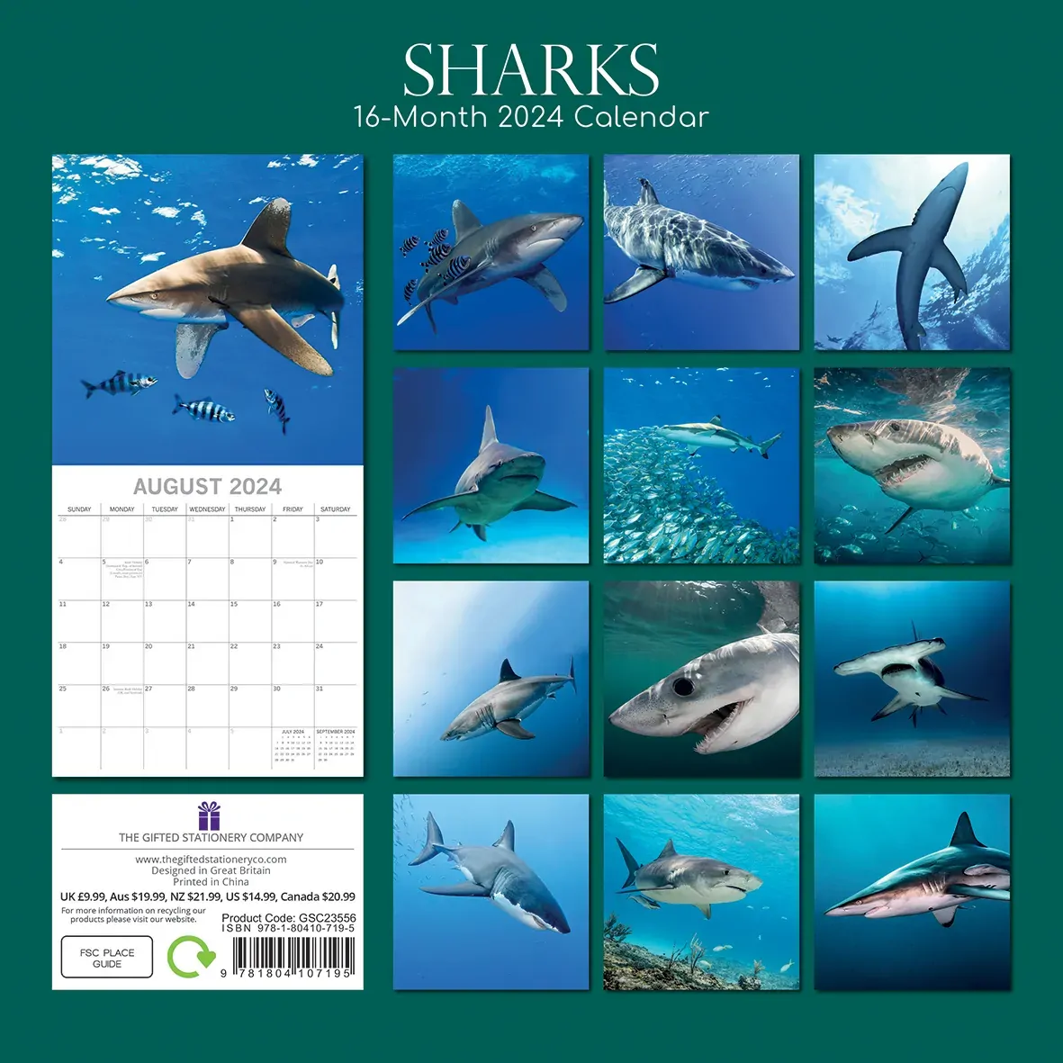 Sharks 2024 Square Wall Calendar Pets Animals 16Month New Year Christmas Planner Price