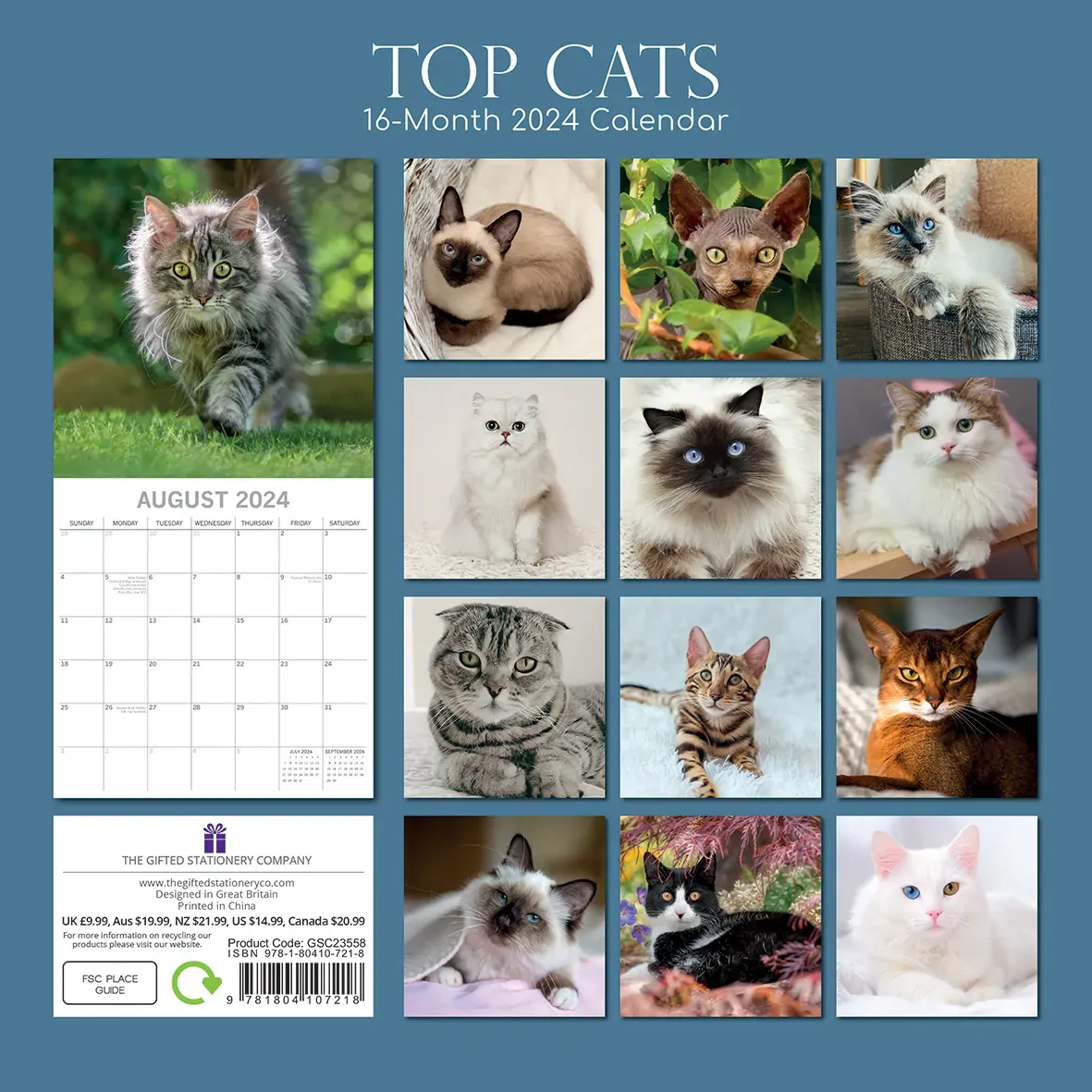 Top Cats - 2024 Square Wall Calendar Pets Animals 16 Months Premium Planner Gift Price