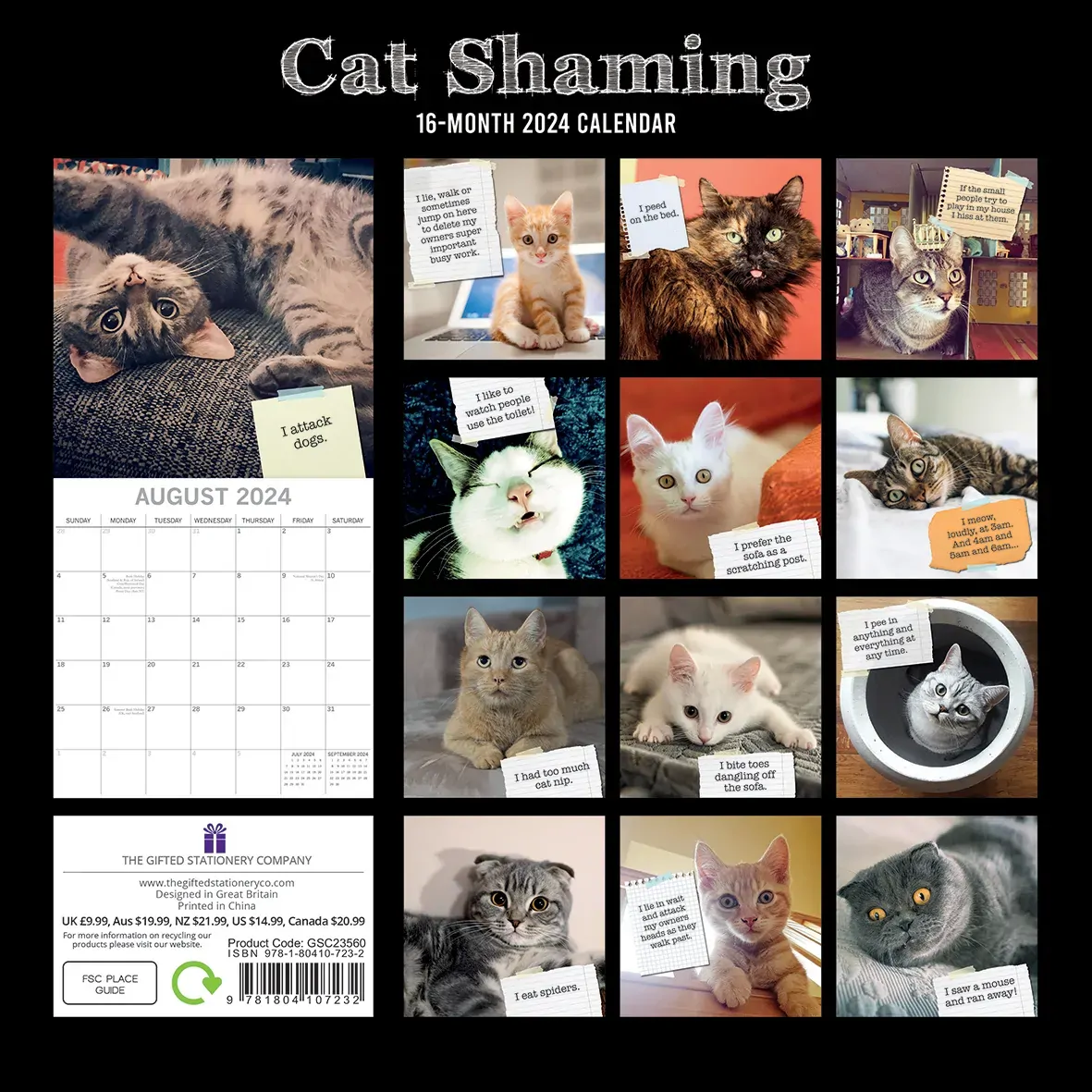 Cat Shaming - 2024 Square Wall Calendar Pets Animals 16 Months Premium Planner Price