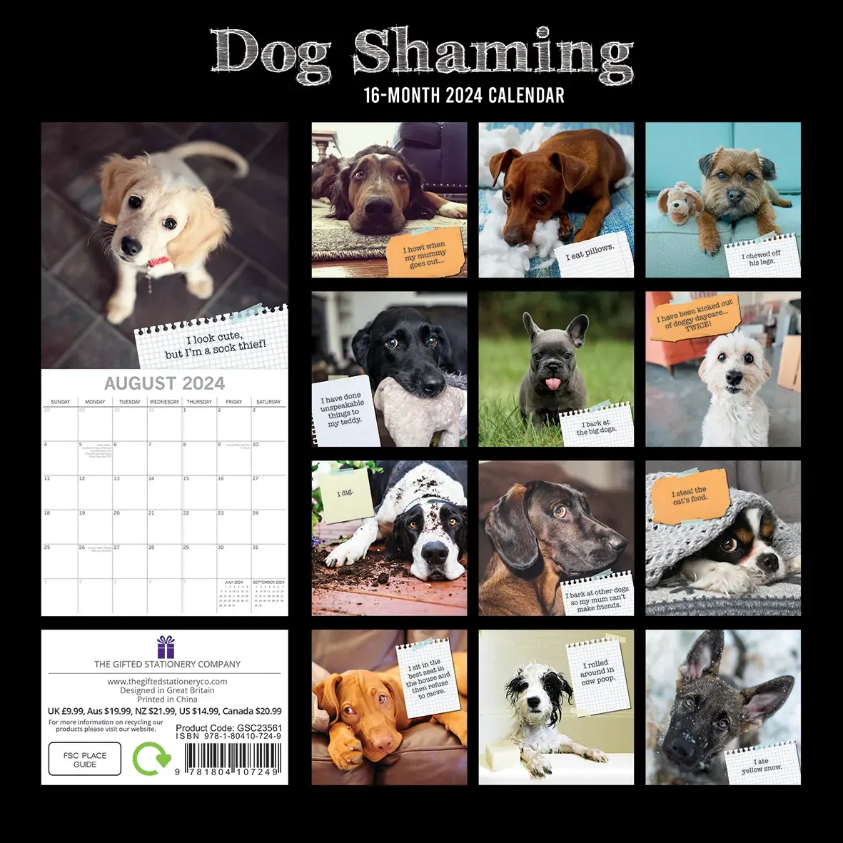 Dog Shaming - 2024 Square Wall Calendar Pets Animals 16 Months Premium Planner Price