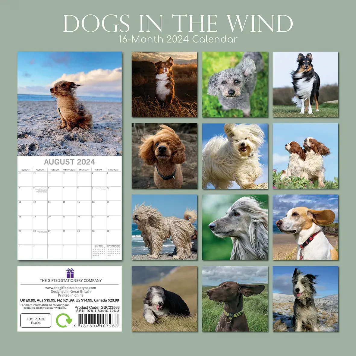 Dogs in the Wind 2024 Square Wall Calendar Pets Animals 16 Month Premium Planner Price