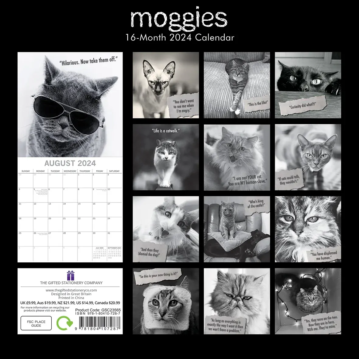 Moggies - 2024 Square Wall Calendar Pets Animals 16 Months Premium Planner Gift Price