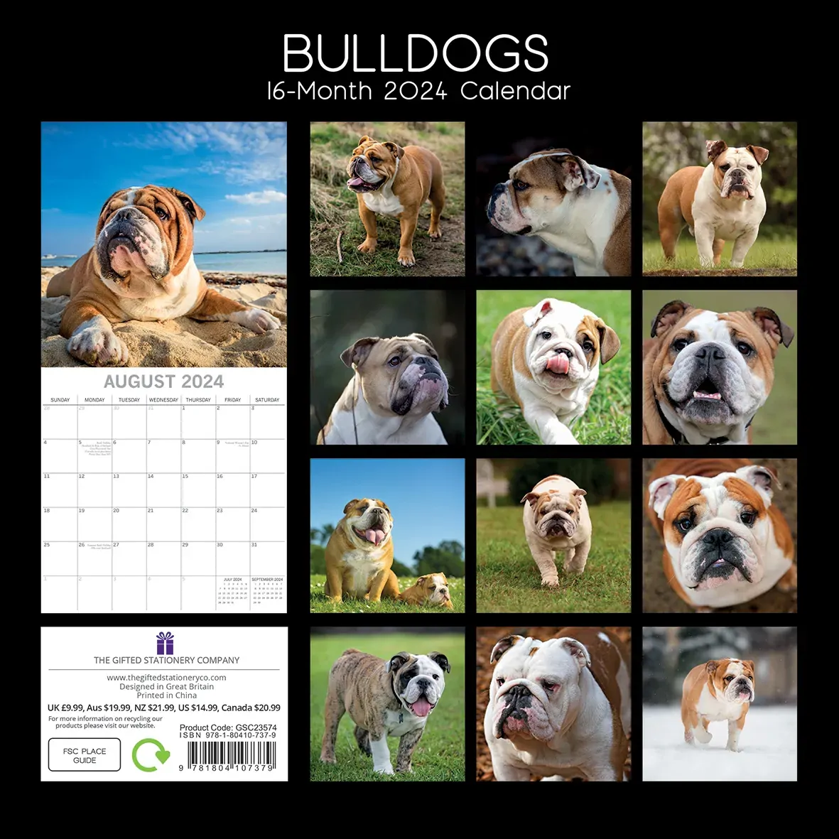 Bulldogs - 2024 Square Wall Calendar Pets Dog 16 Months Premium Planner New Year Price