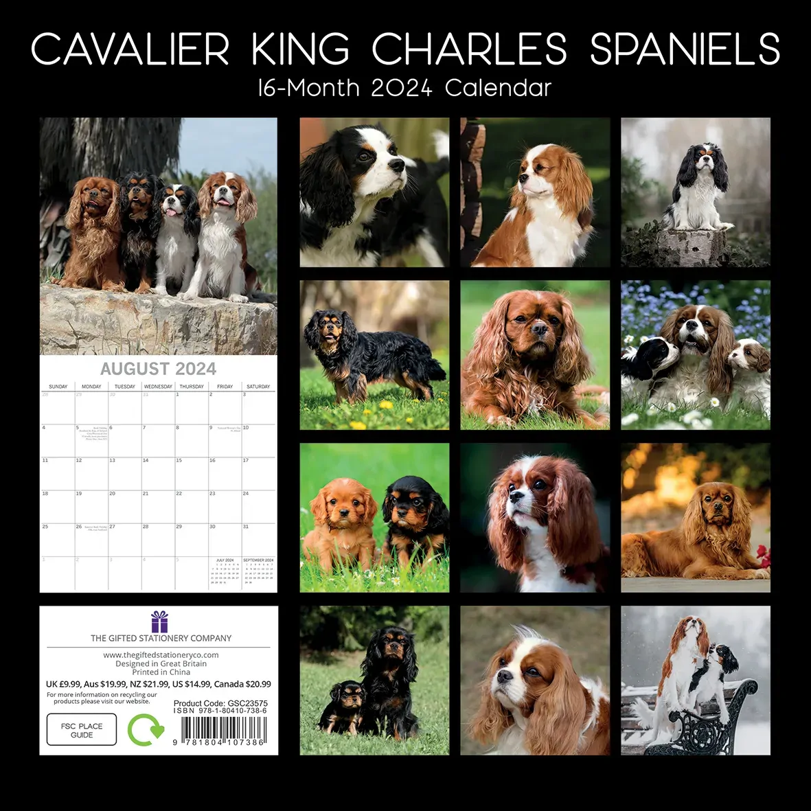 Cavalier King Charles Spaniels - 2024 Square Wall Calendar Dog 16 Months Planner Price