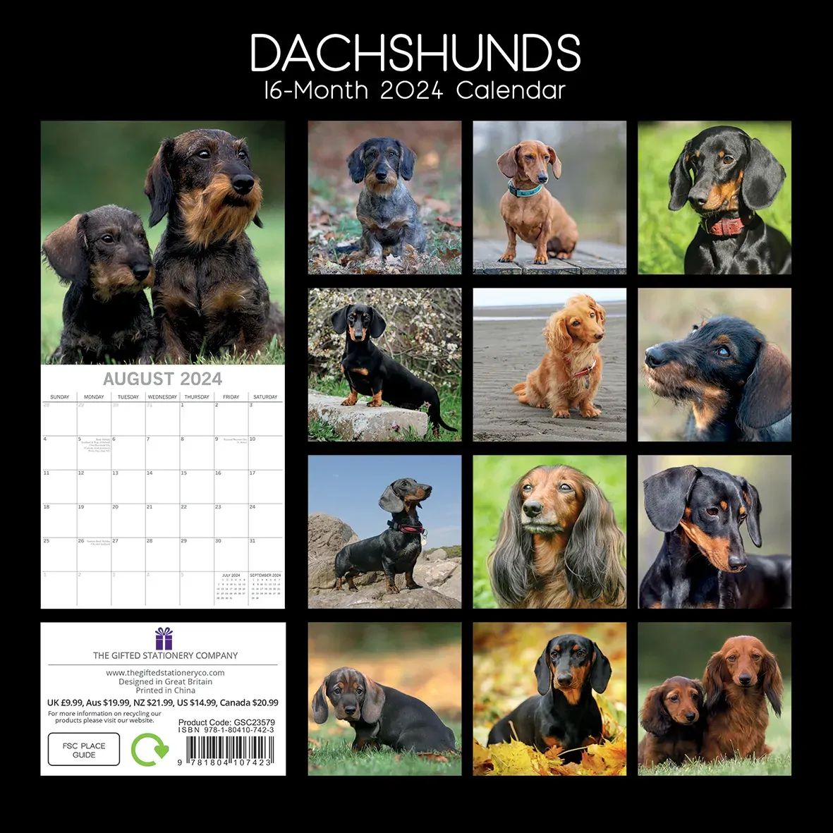 Dachshunds 2024 Square Wall Calendar Pets Dog 16 Months Premium Planner New Year Price