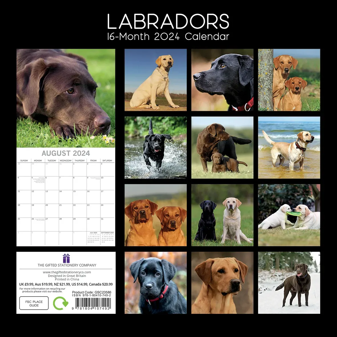 Labradors 2024 Square Wall Calendar Pets Dog 16 Months Premium Planner New Year Price