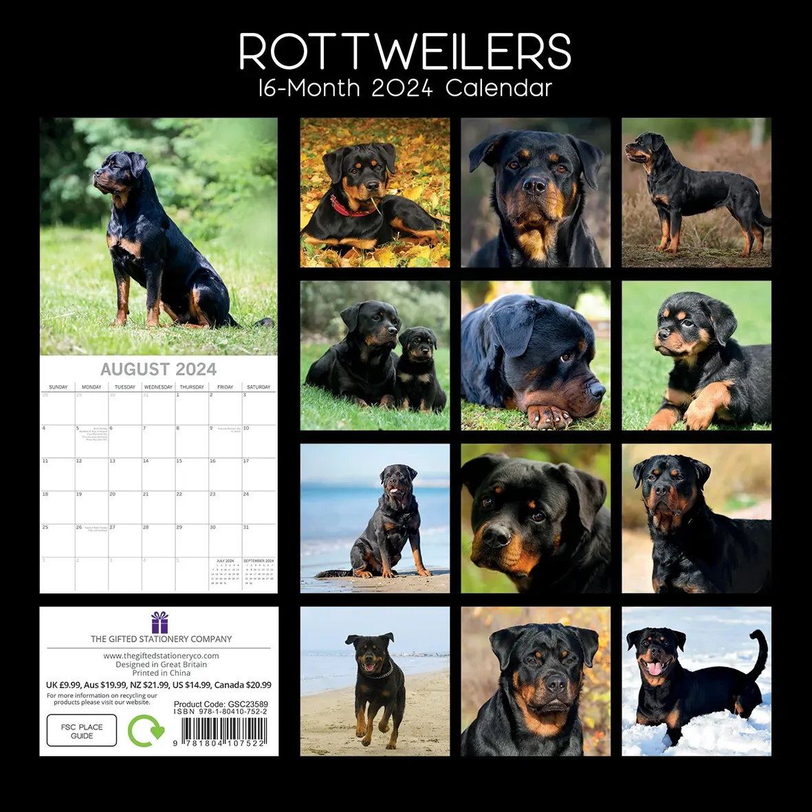 Rottweilers 2024 Square Wall Calendar Pets Dog 16 Month Premium Planner New Year Price