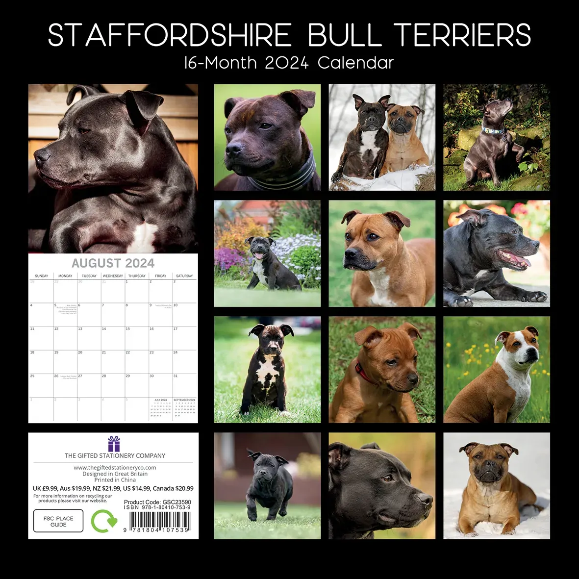 Staffordshire Bull Terriers 2024 Square Wall Calendar Pets Dog 16 Months Planner Price