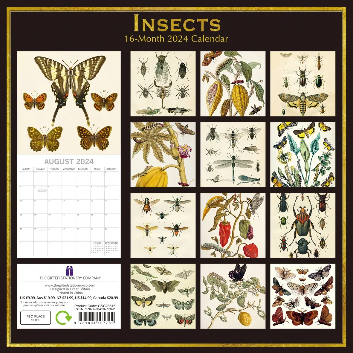 Insects 2024 Square Wall Calendar 16 Months Arts Planner Christmas New Year Gift Price