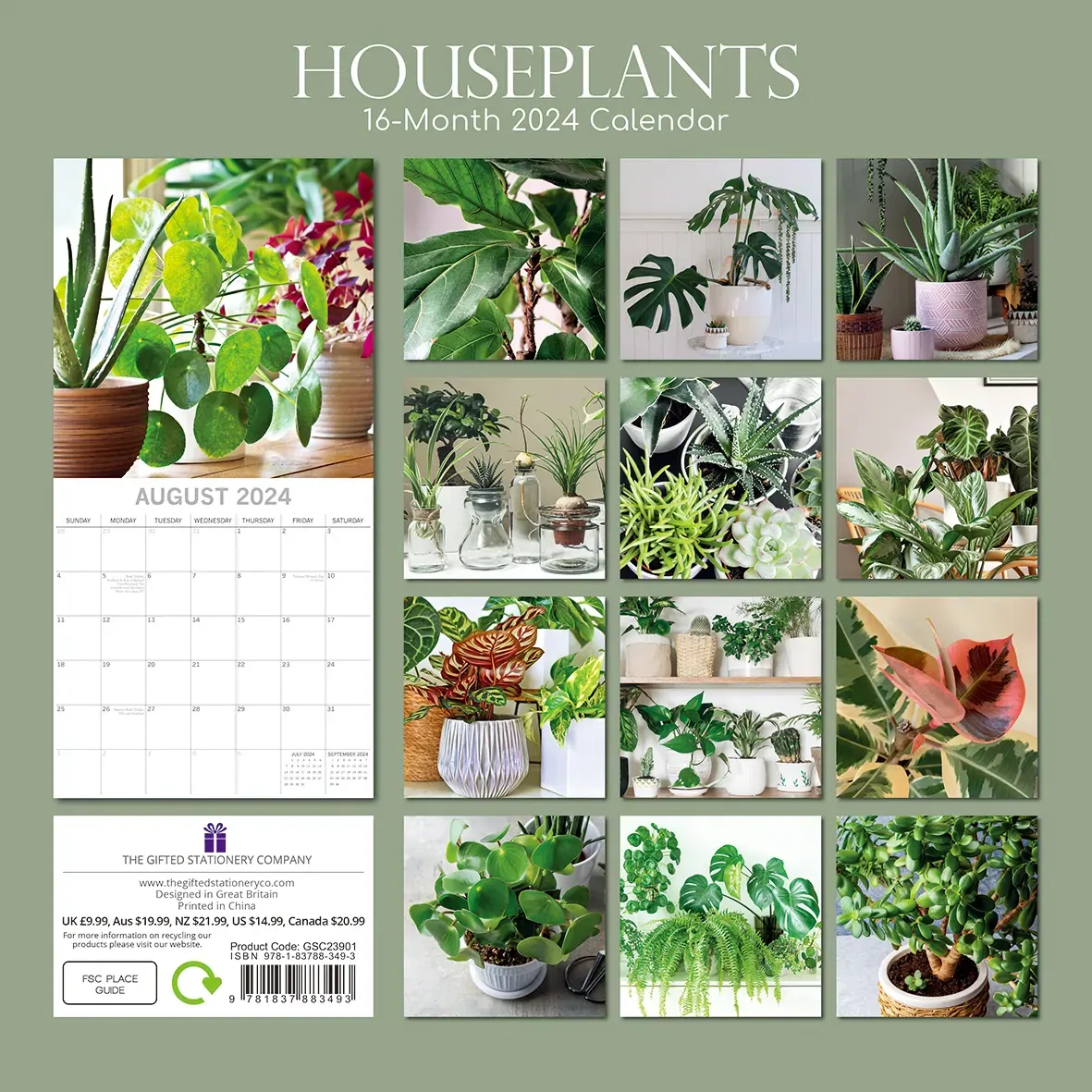 House Plants - 2024 Square Wall Calendar 16 Months Floral Flower Planner New Year Gift Price