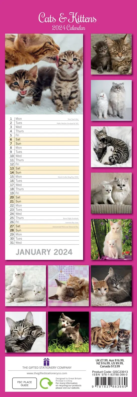 Cats & Kittens - 2024 Slimline Slim Wall Calendar Hanging Planner New Year Gift Price
