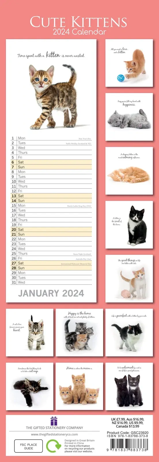 Cute Kittens - 2024 Slimline Slim Wall Calendar Hanging Planner New Year Gift Price