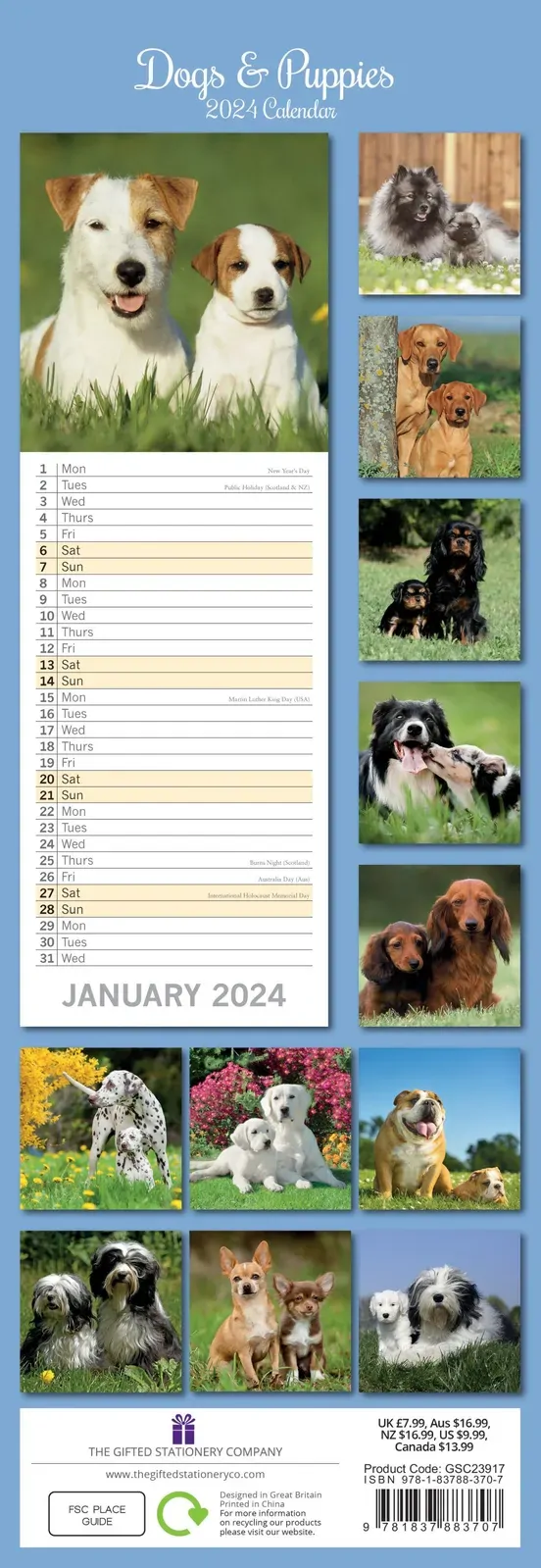 Dogs & Puppies - 2024 Slimline Slim Wall Calendar Hanging Planner New Year Gift Price