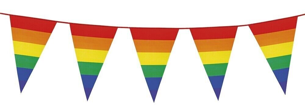 3.6m RAINBOW BUNTING FLAG Party Banner Birthday Triangle Flags Decor Pride Price