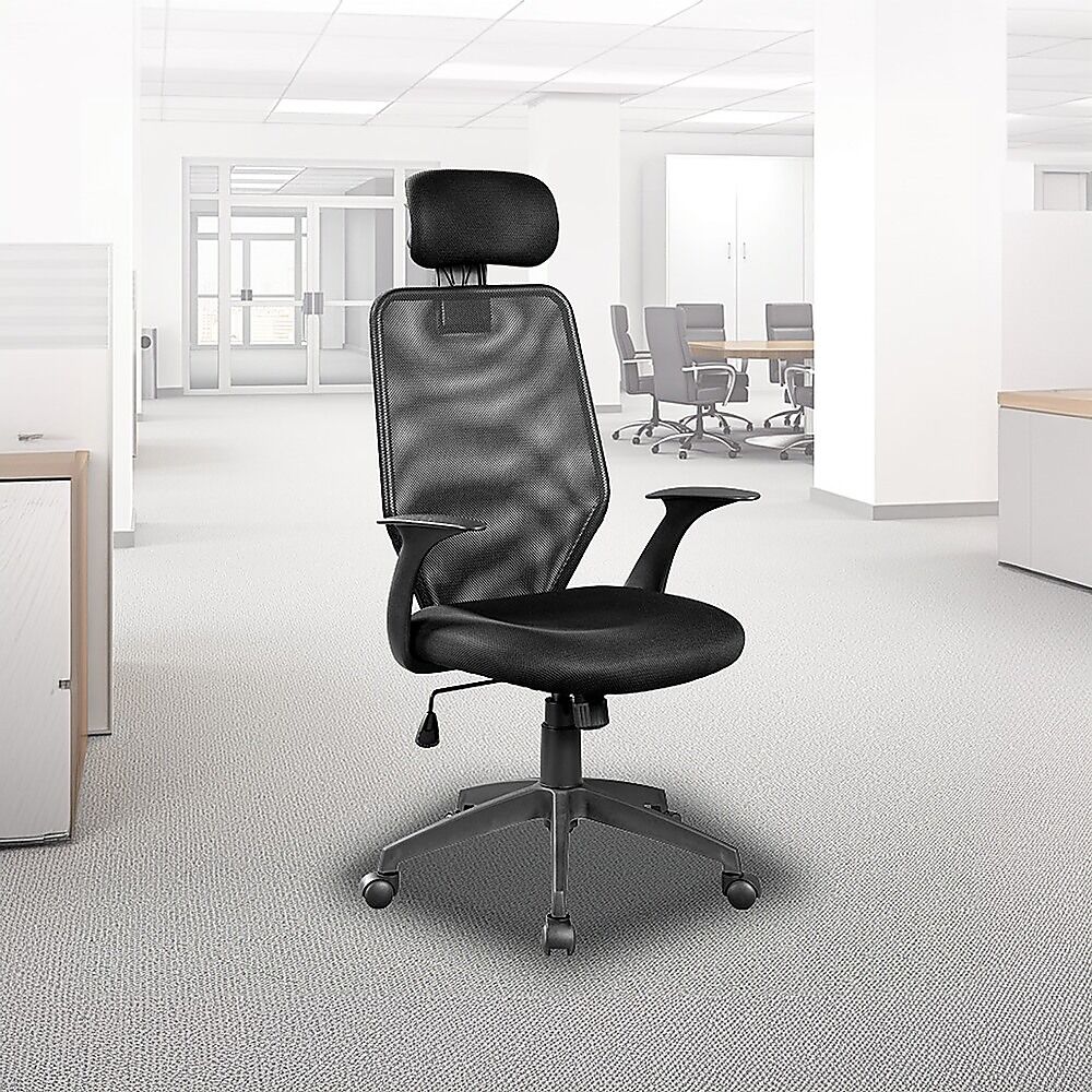 Ergonomic Mesh Office Chair Price