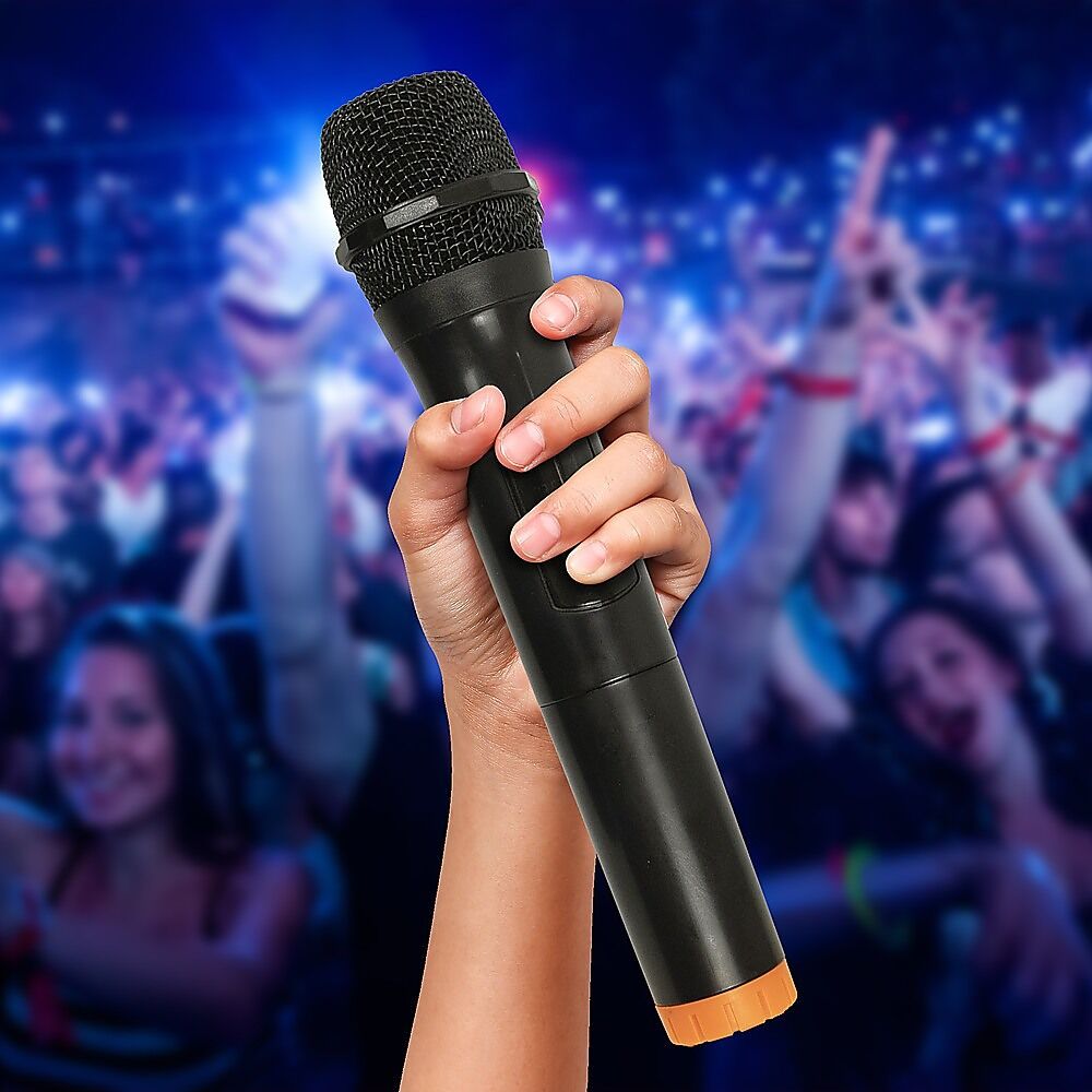 2 x Wireless Microphone Handheld Cordless Professional Mic Karaoke Receiver Price