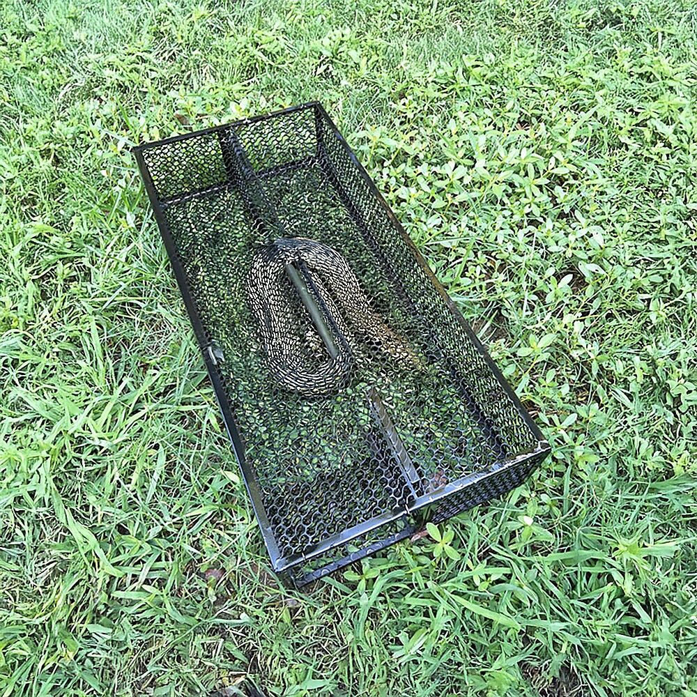 Humane Snake Trap Remove Small to Medium Snakes 2 Doors Price