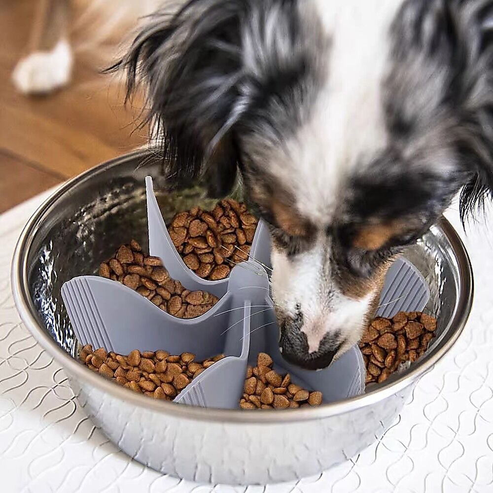 2x Dog Bowl Slow Feeder Insert Price