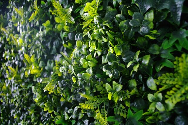 Spring Sensation UV Stabilised 1m X 1m Price