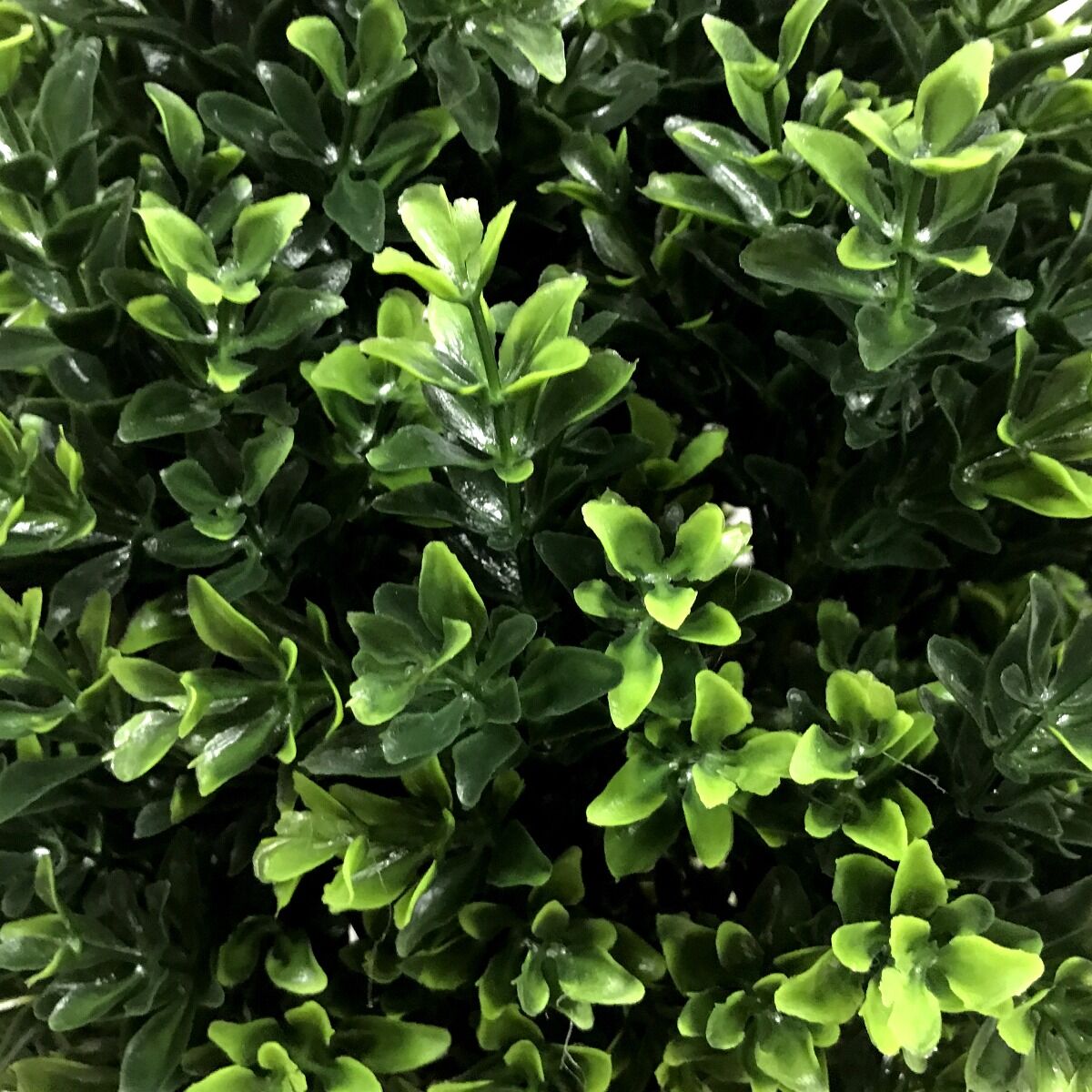 UV Resistant Artificial Topiary Shrub (Hedyotis) 50cm Mixed Green Price