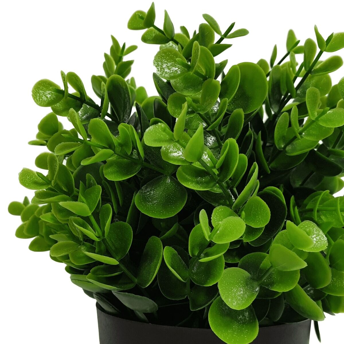 Small Potted Artificial Peperomia Plant UV Resistant 20cm Price
