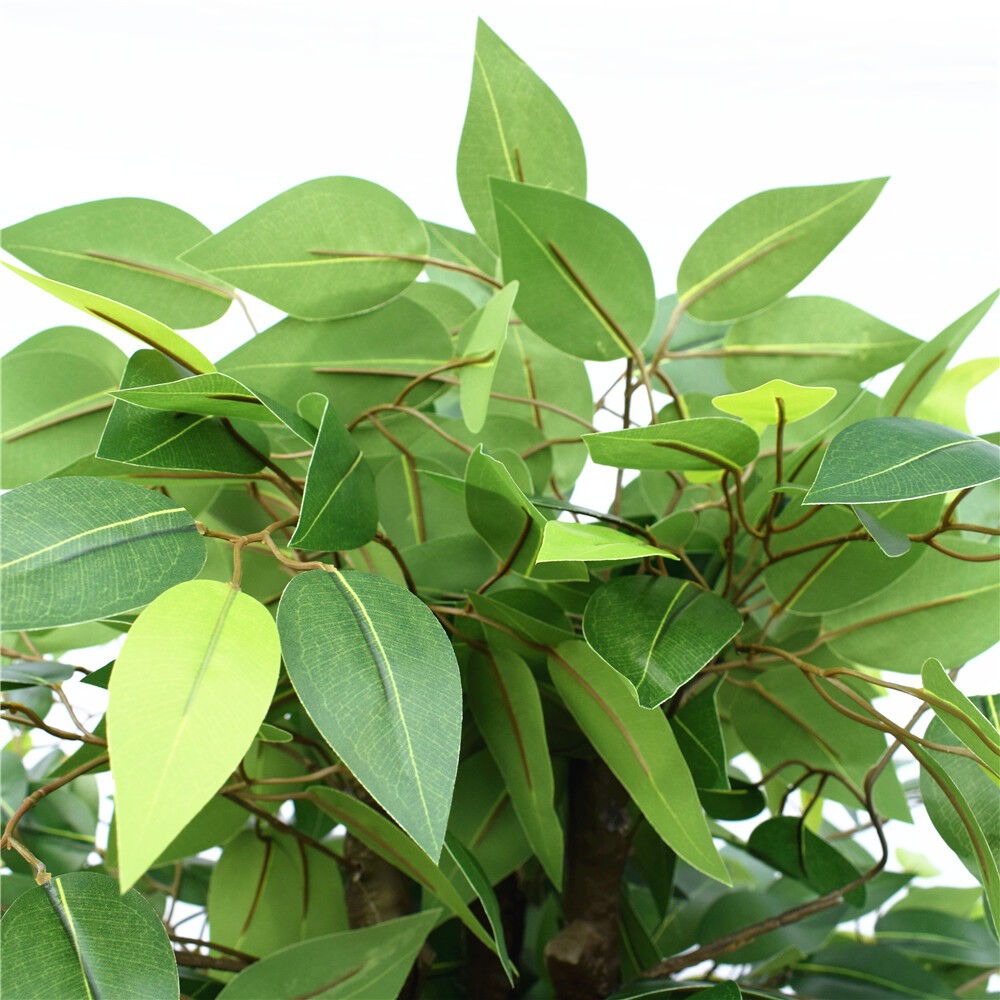 Artificial Bushy Ficus Tree 145cm Price