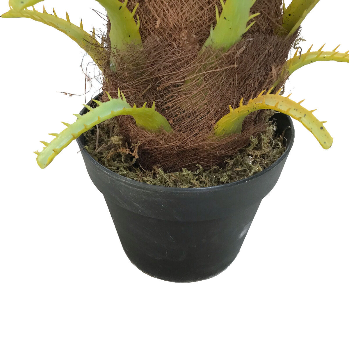 80cm Artificial Palm Price