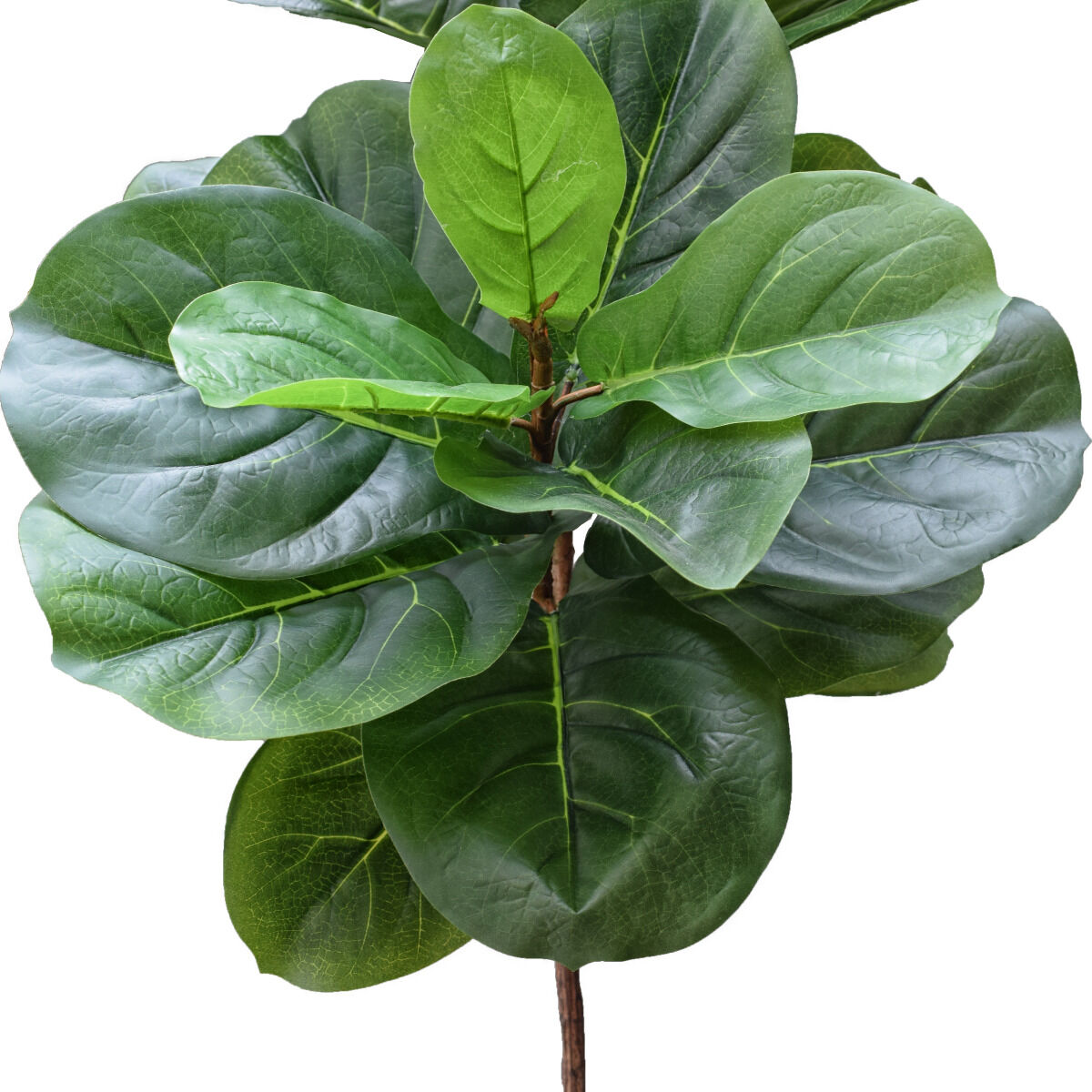 Tall Artificial Fiddle Leaf Fig 170cm Price