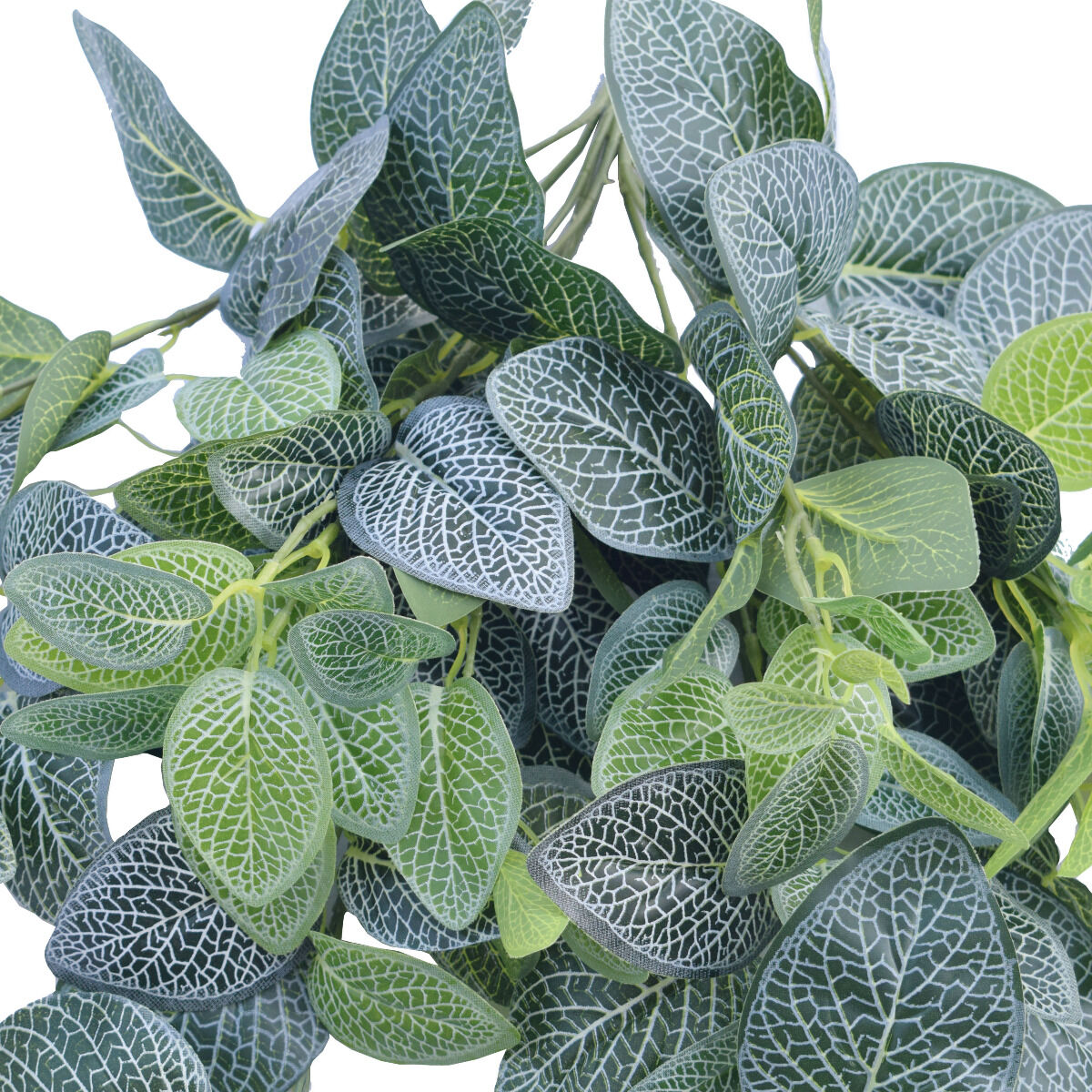 Artificial Fittonia Hanging Garland Bush 80cm Price