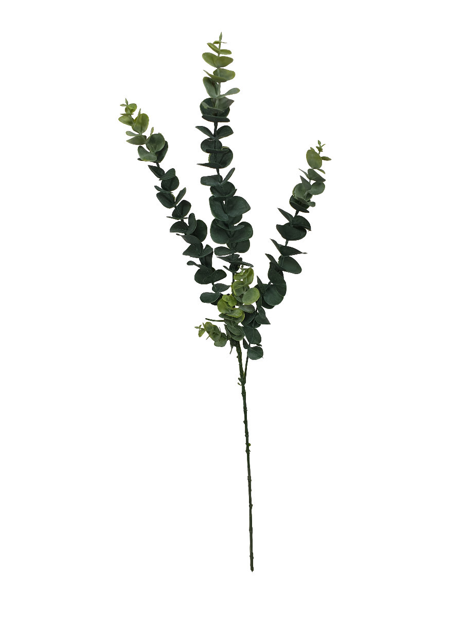 5 Pack - Long Eucalyptus Stem 77 cm Price