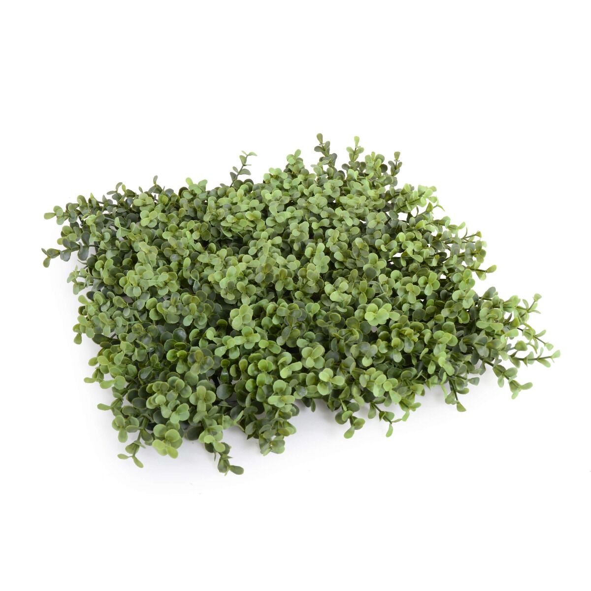 Deluxe Portable Buxus Hedge UV Resistant 100cm Long x 200cm High Price