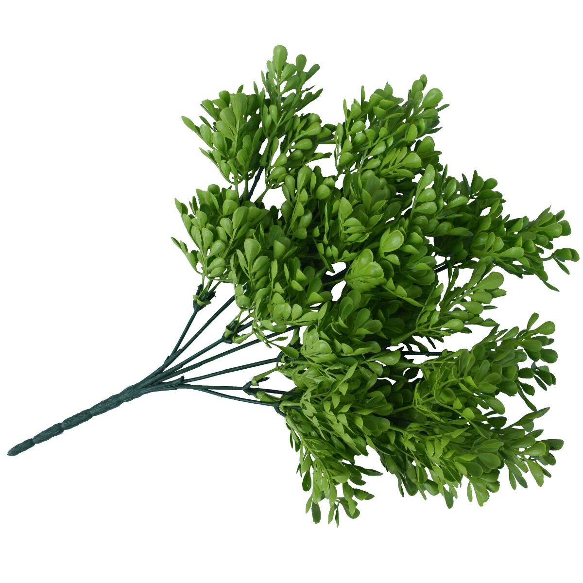 Vivid Green Wide Eucalypts Plant 32cm UV Resistant Price
