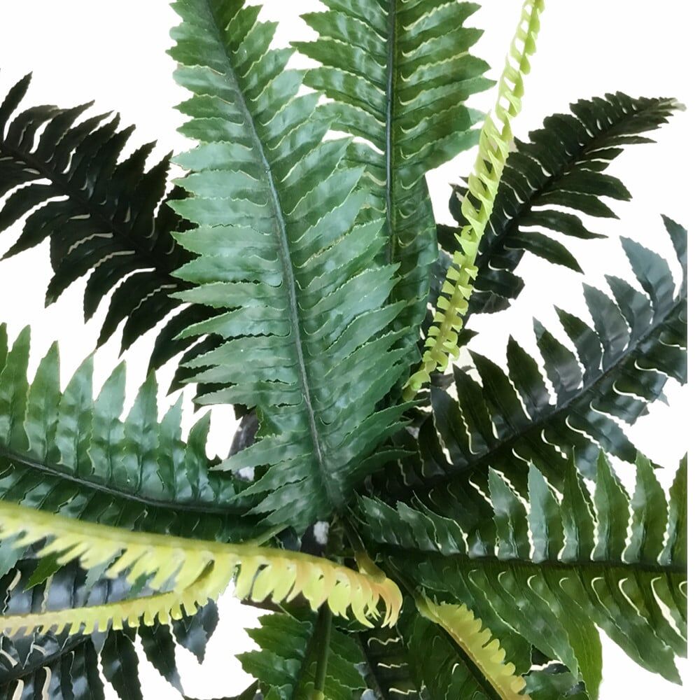 Artificial Dark Green Boston Fern 60cm Price
