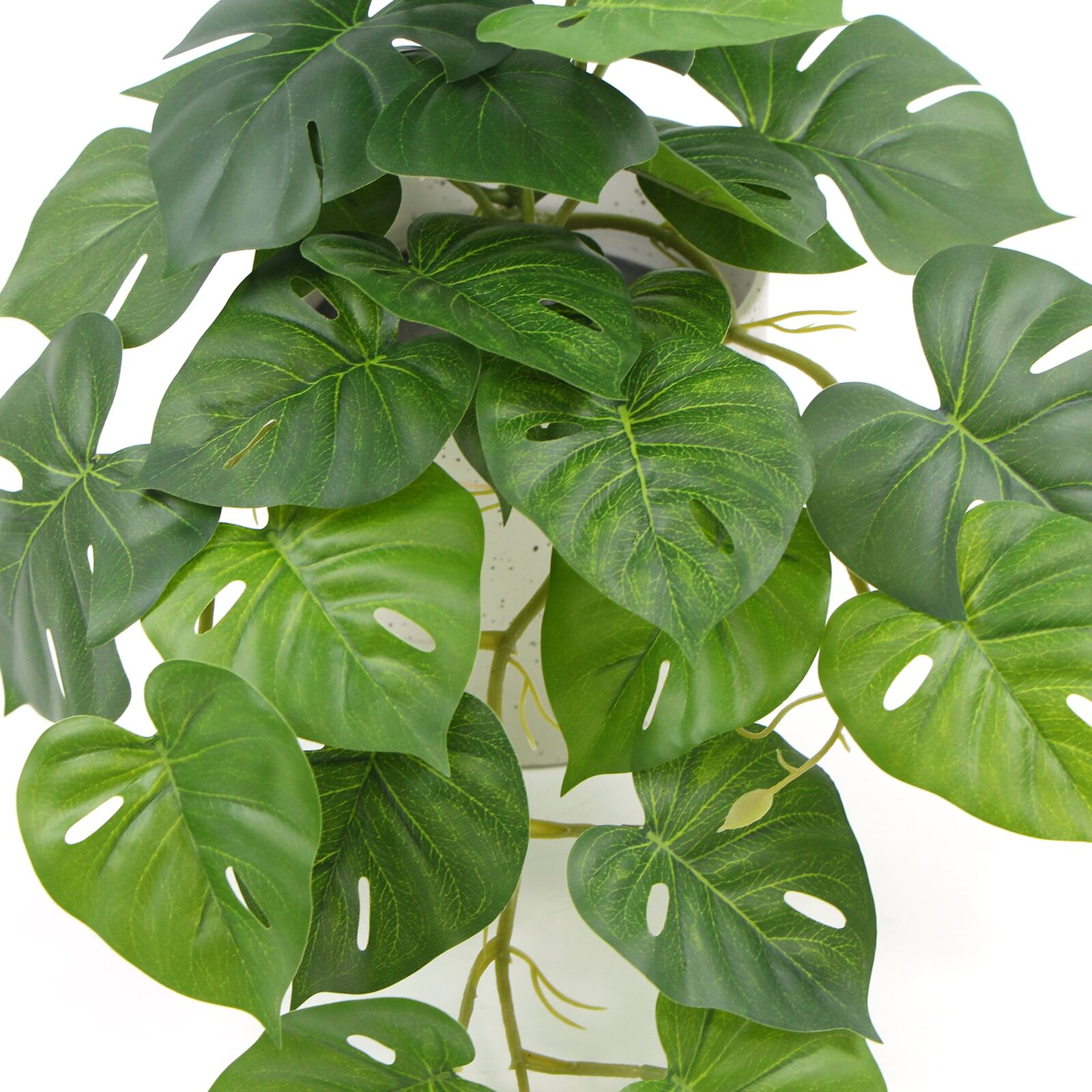 Decorative Ceramic Bowl Potted Artificial Monstera Plant 30cm Price