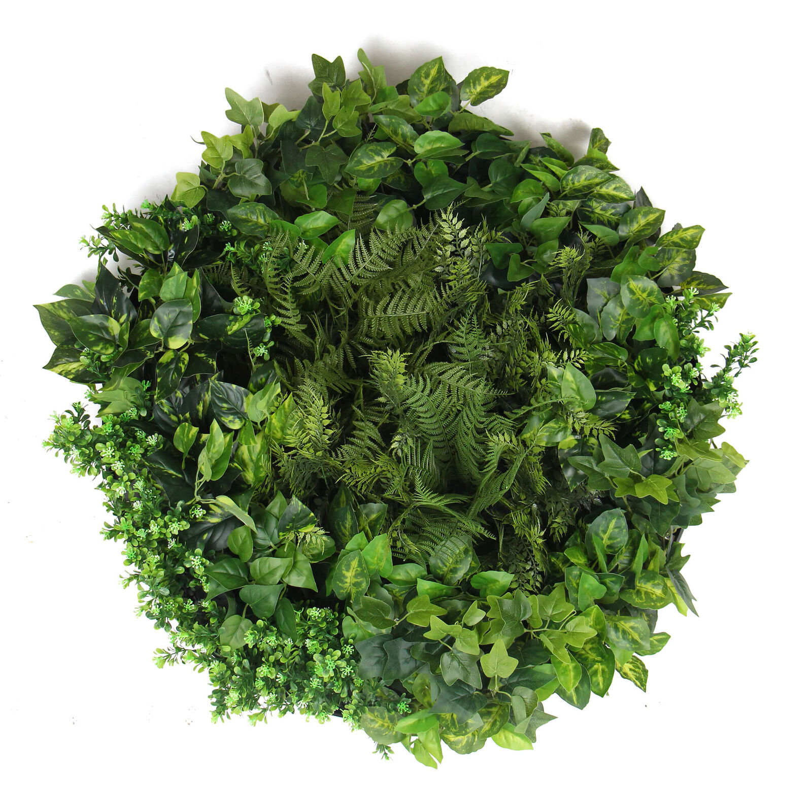 Slimline Artificial Green Wall Disc Art 80cm Mixed Green Fern & Ivy (Modern Black) Price