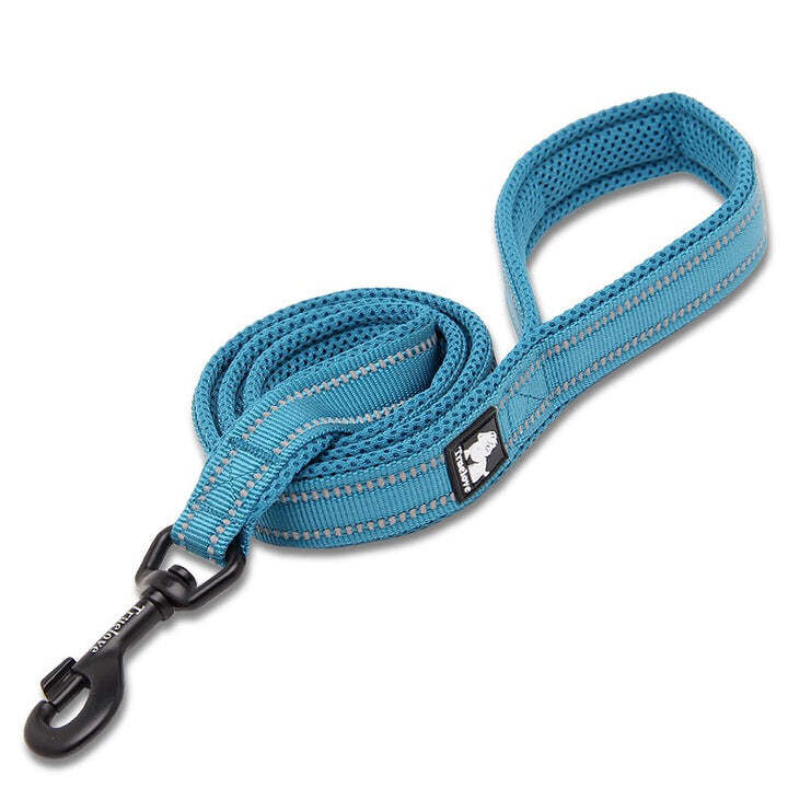 Reflective Pet Leash 2m - Blue, L Price