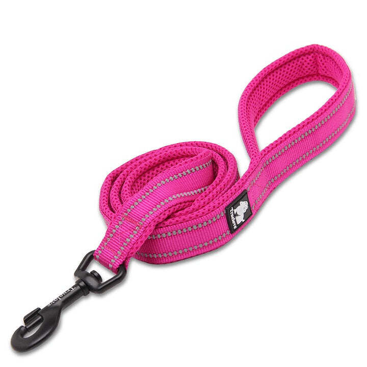 Reflective Pet Leash 2m - Pink, S Price